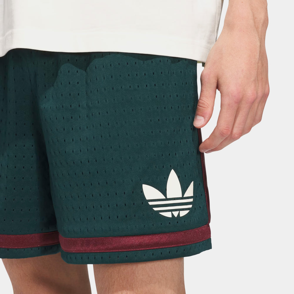 Шорты мужские adidas Originals Graphic Basketball