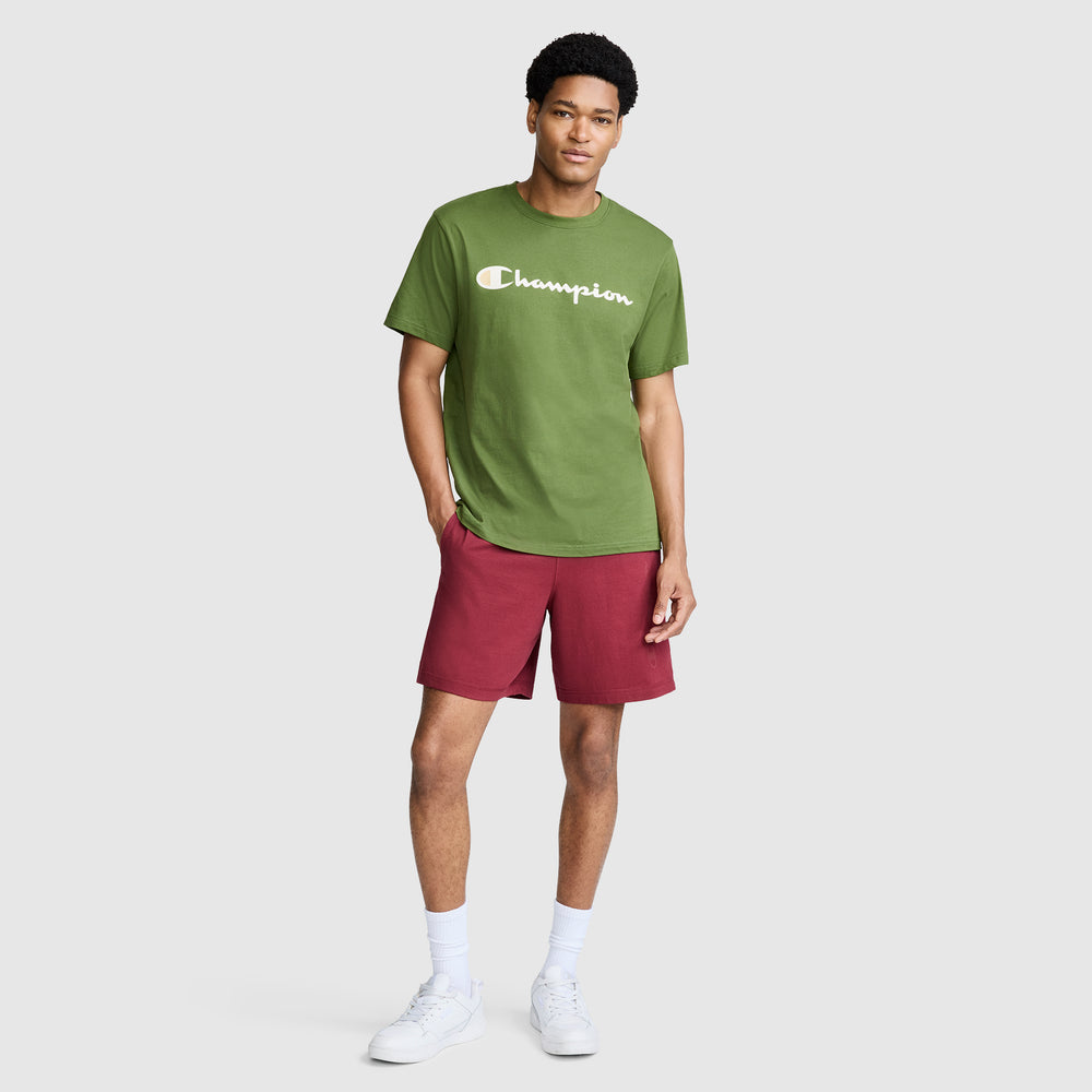 Шорты мужские Champion Jersey Script 7"