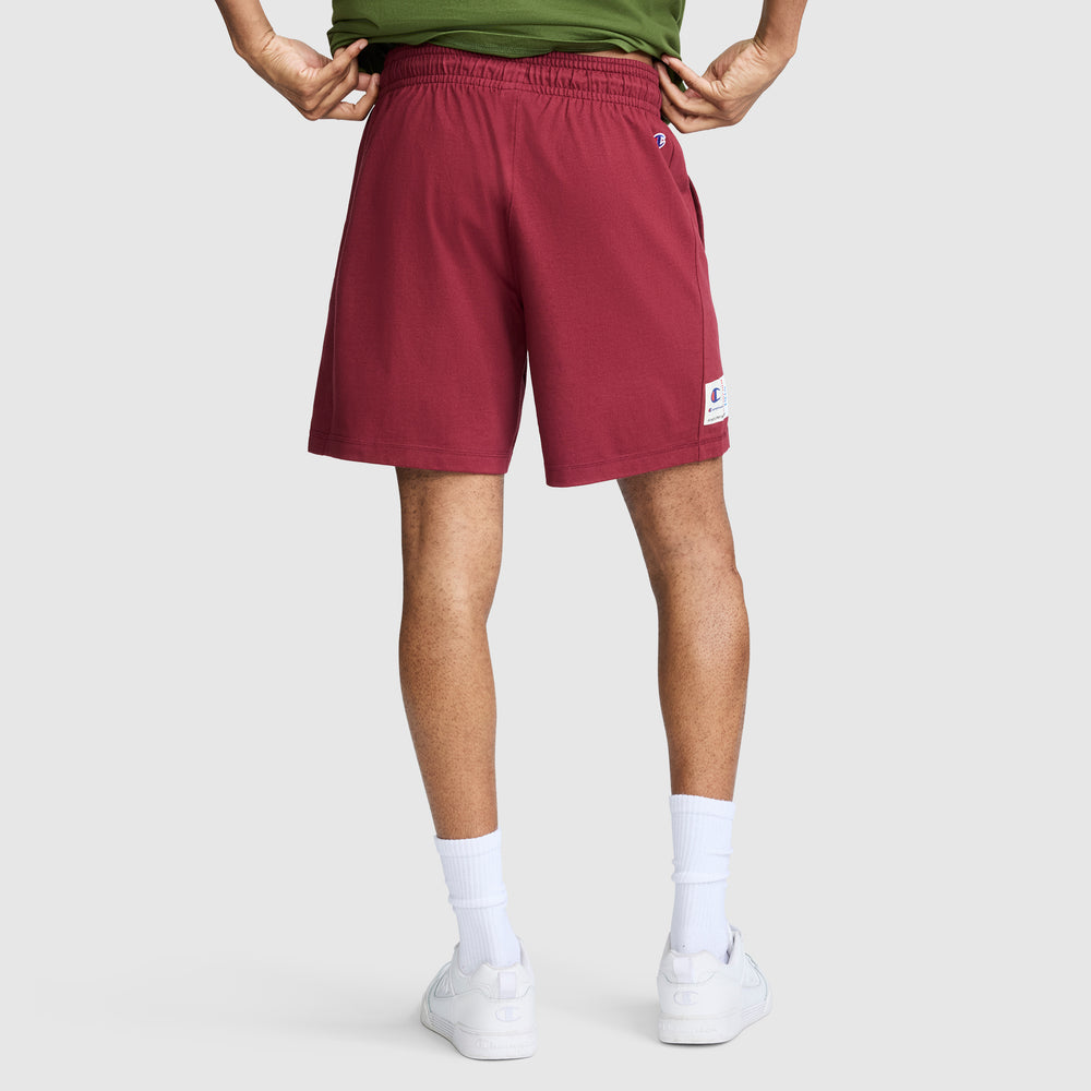 Шорты мужские Champion Jersey Script 7"