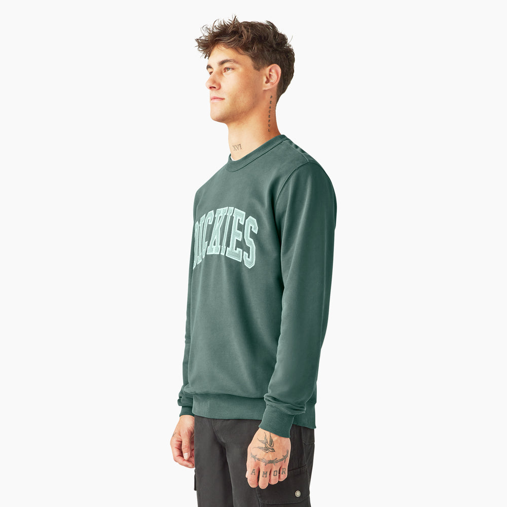 Свитшот мужской Dickies Aitkin
