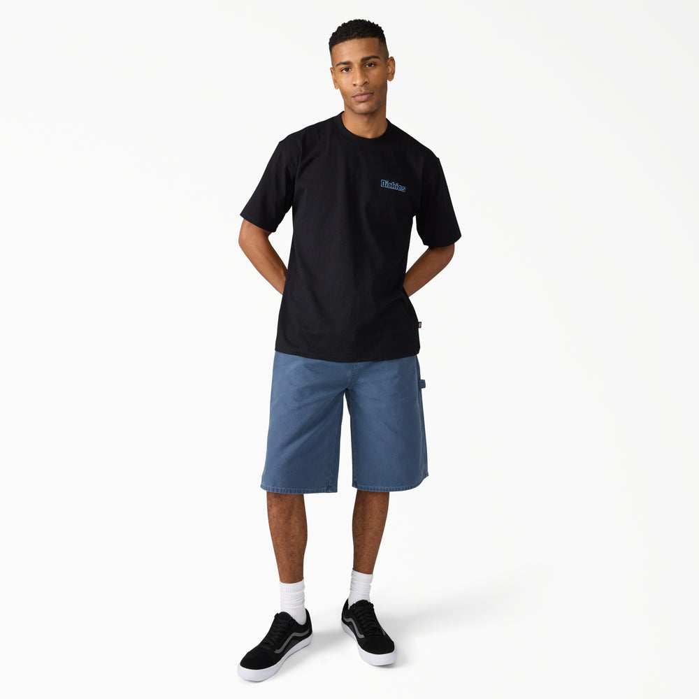 Шорты мужские Dickies Worn In Relaxed Carpenter Duck