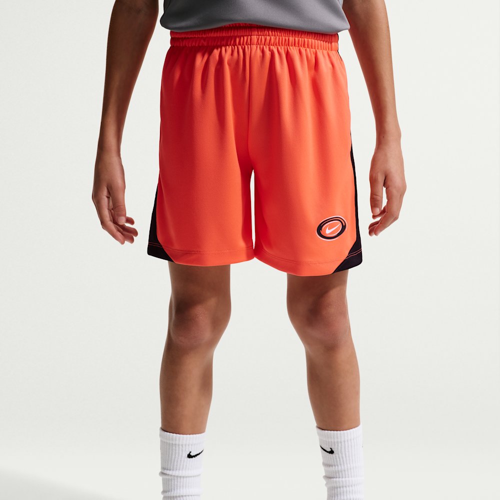 Шорты детские трикотажные Nike Multi