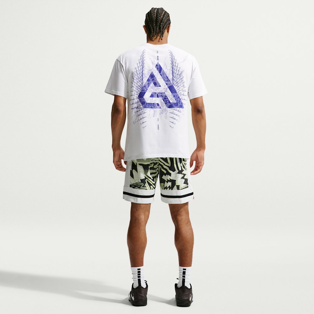 Футболка мужская Nike Giannis