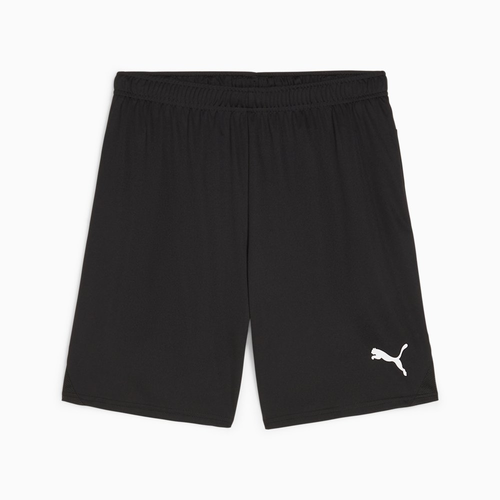 Шорты мужские PUMA teamGOAL