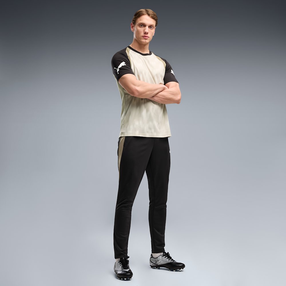 Футболка мужская PUMA individualFINAL