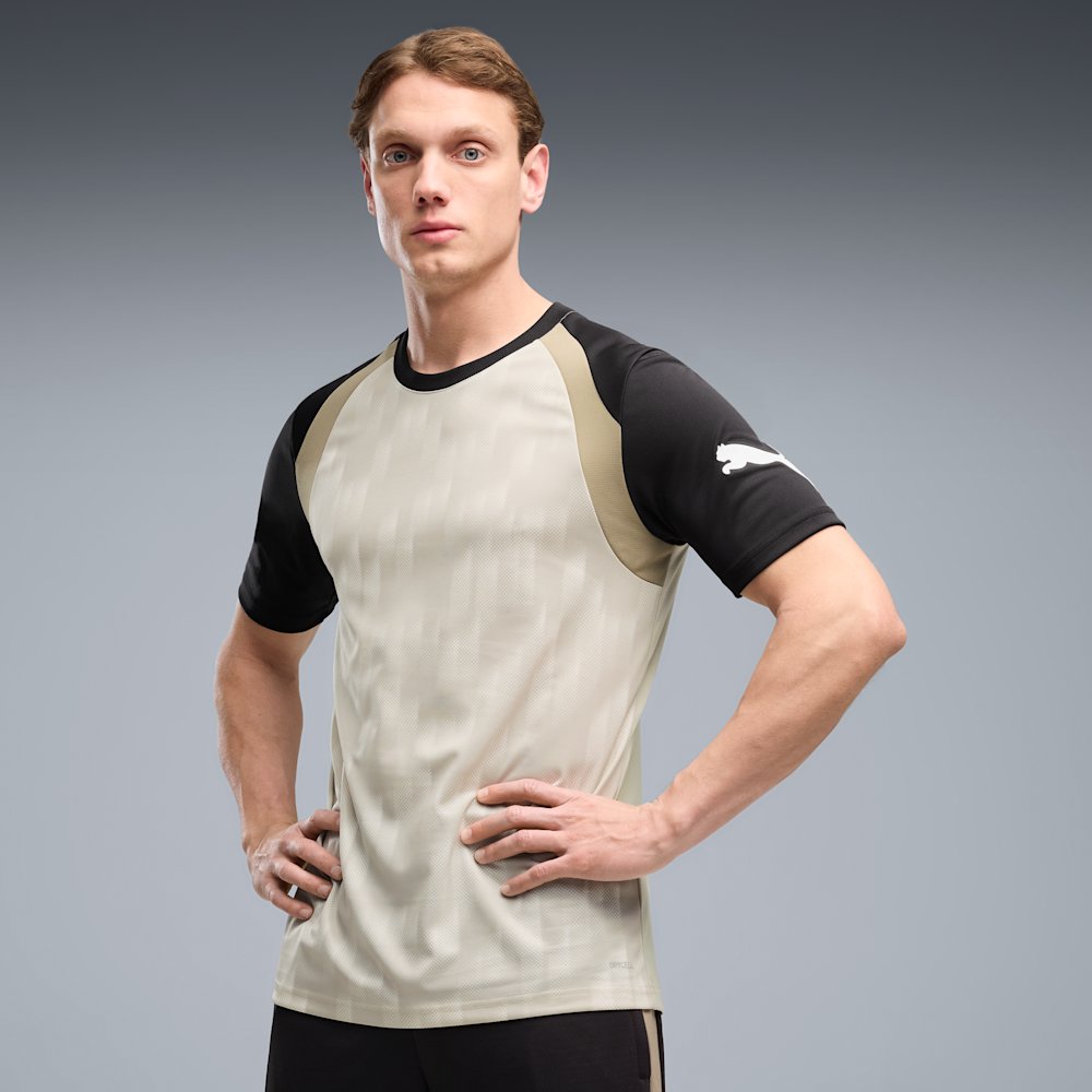 Футболка мужская PUMA individualFINAL