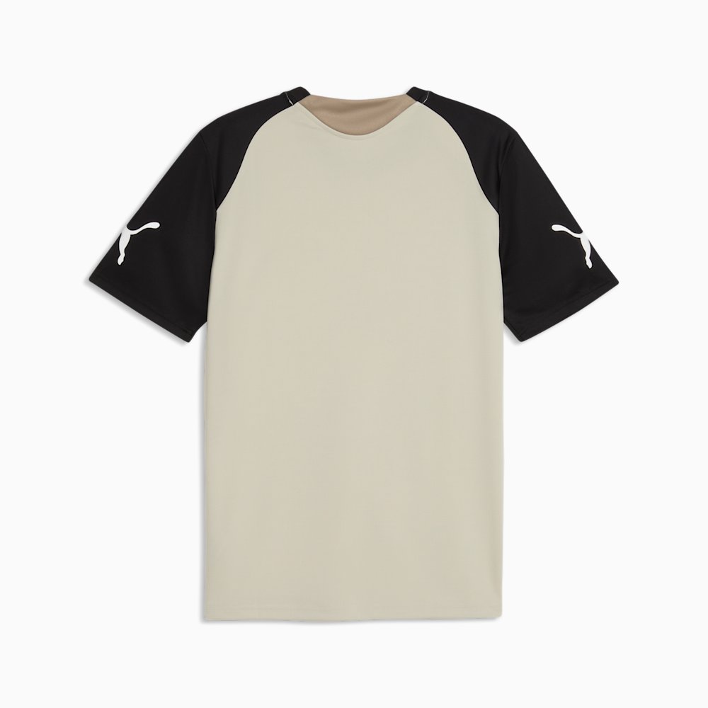 Футболка мужская PUMA individualFINAL
