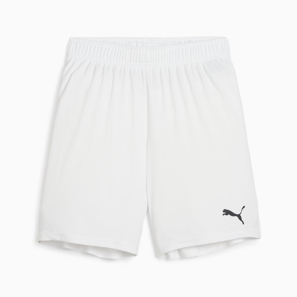 Шорты детские PUMA teamGOAL