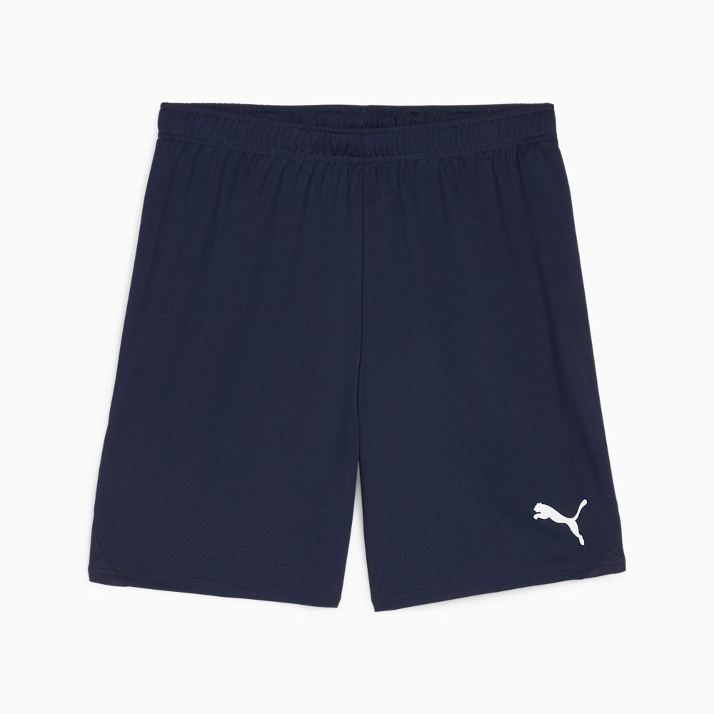 Шорты мужские PUMA teamGOAL