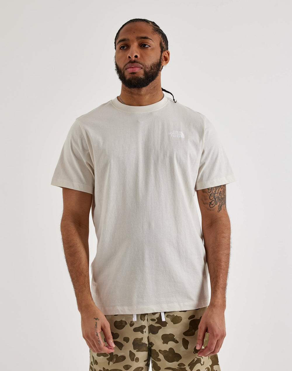 Футболка мужская The North Face Evolution Box Logo