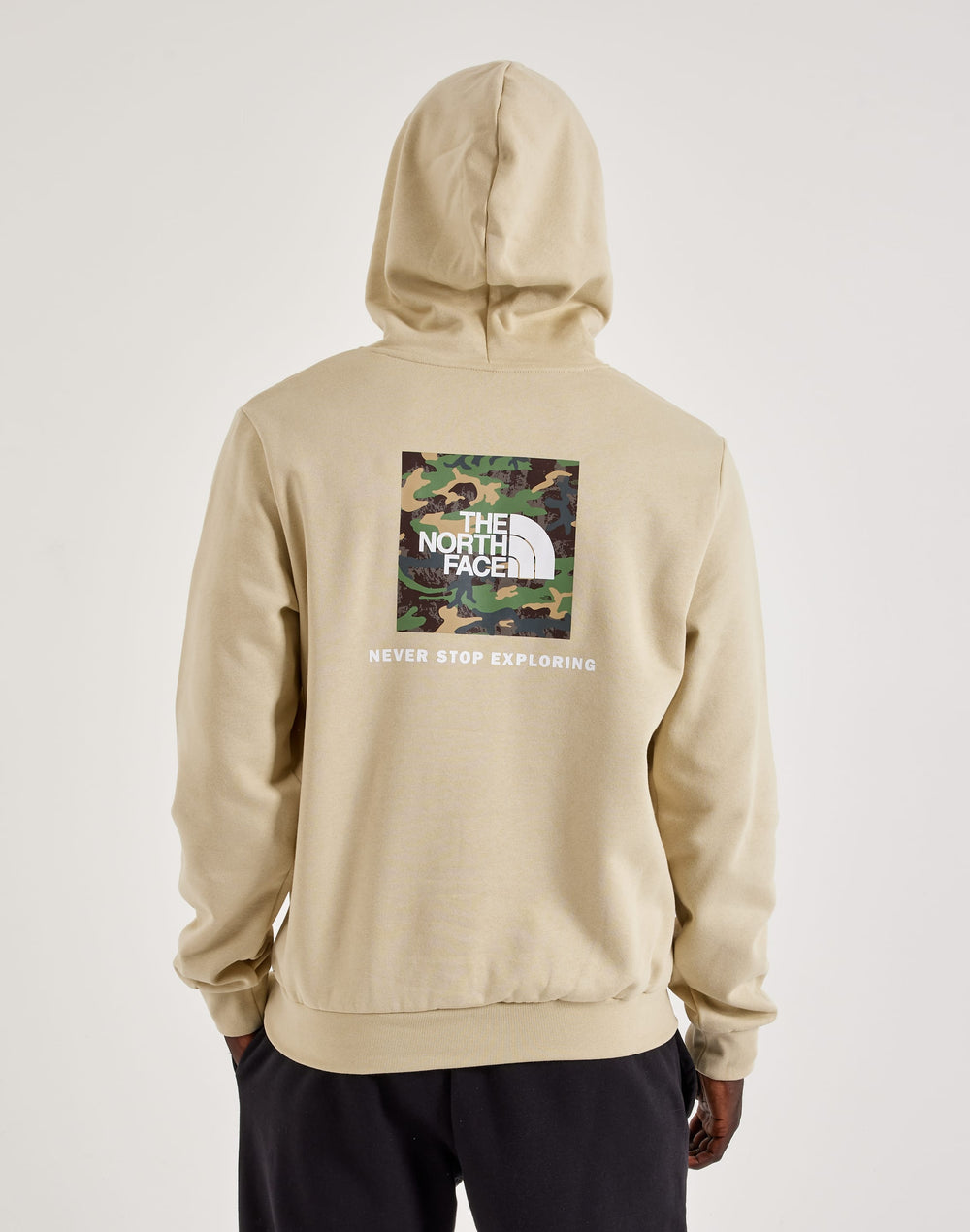 Худи мужское The North Face Evolution Box Logo Fleece
