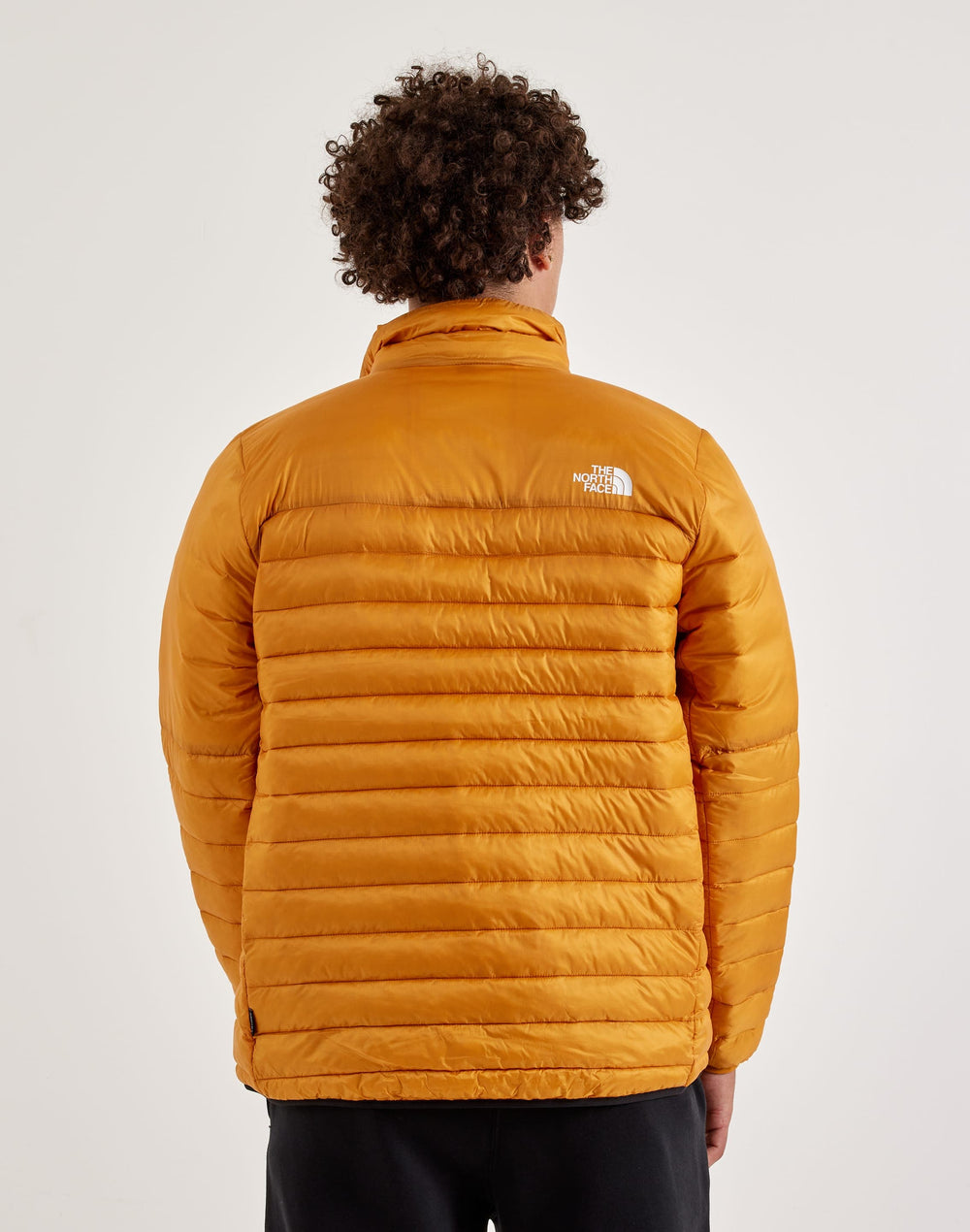 Куртка мужская The North Face Terra Peak