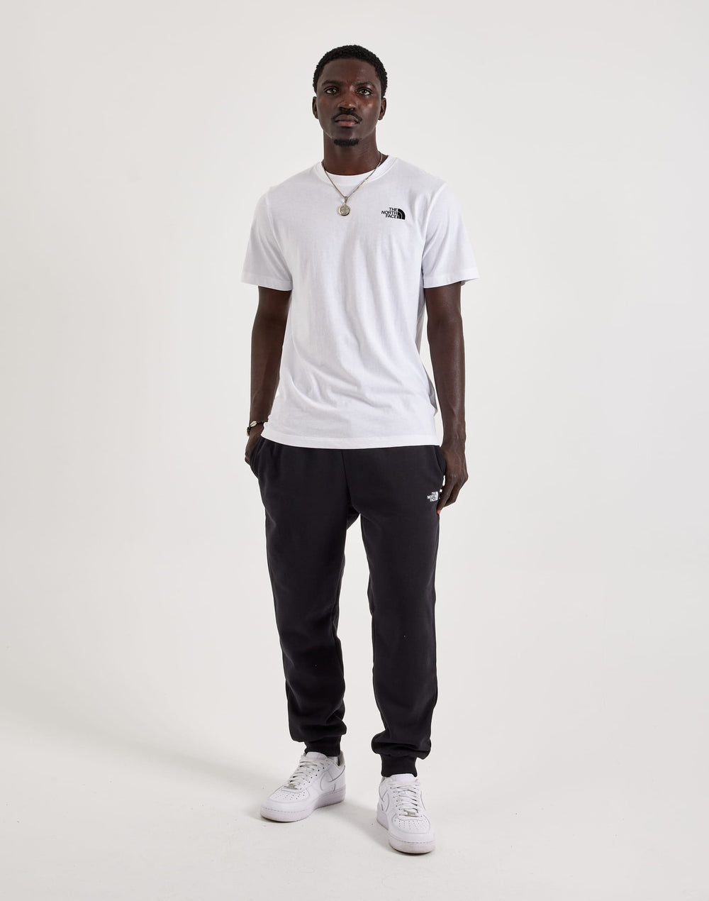 Джоггеры мужские The North Face Evolution Half Dome Fleece